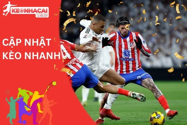 Tổng hợp tin tức soi kèo cúp C1 siêu nhanh